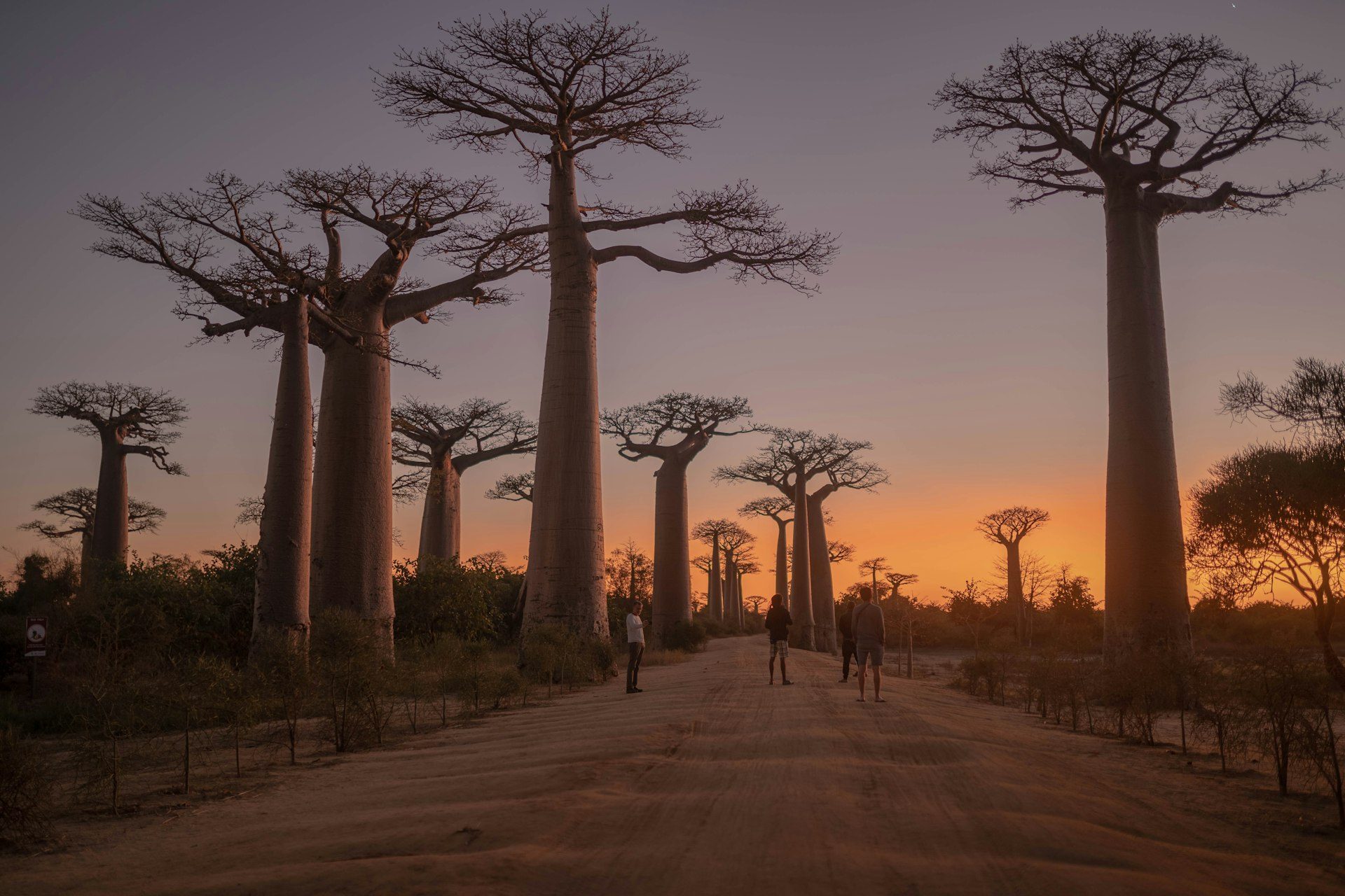 Madagascar landscape